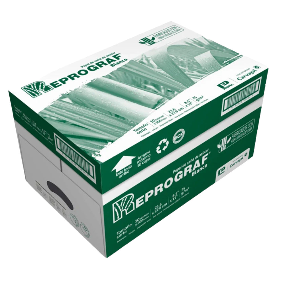 Papel Carta Blanca 10 paquetes