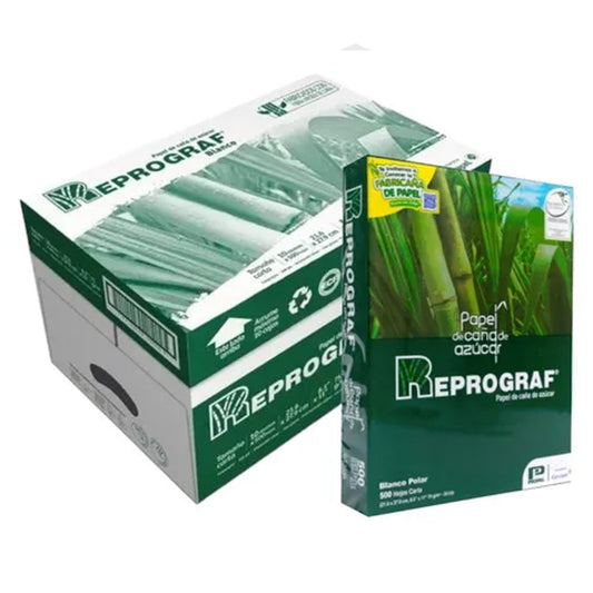 Papel Carta Blanca 10 paquetes